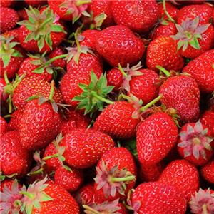 国培家庭农场-草莓