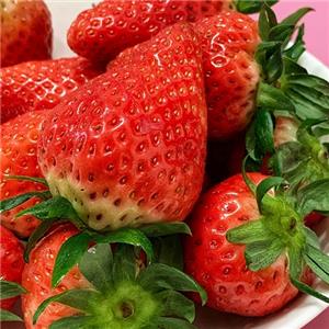 果之鲜家庭农场-草莓